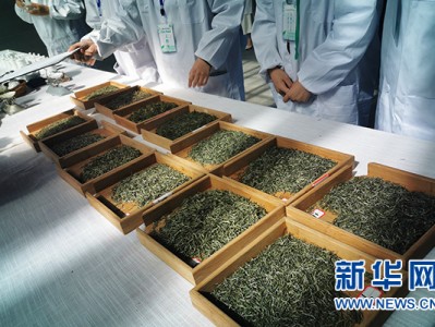 重庆市第十三届“三峡杯”名优茶评比活动举行