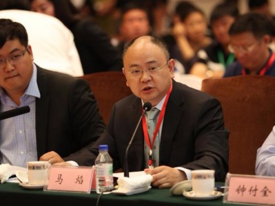 重庆梅安森科技股份有限公司董事长马焰： 物联网促吉林市政智能化